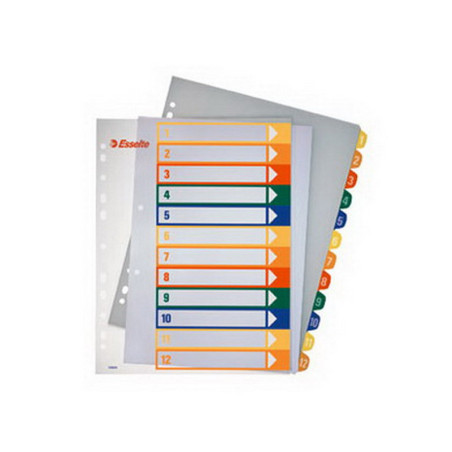 Plastikiniai spalvoti skiriamieji lapai ESSELTE, 1-12, A4, MAXI pakuotė 5 vnt.